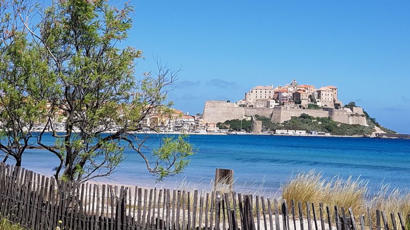 photo 13 Owner direct vacation rental Calvi appartement Corsica Corsica Surroundings