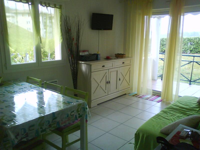 photo 2 Owner direct vacation rental Ciboure appartement Aquitaine Pyrnes-Atlantiques Lounge