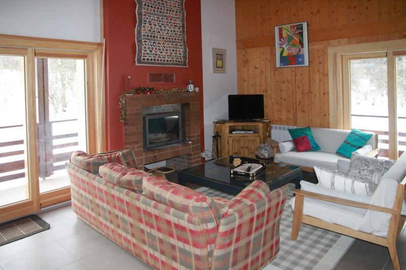 photo 2 Owner direct vacation rental Les Carroz d'Araches chalet Rhone-Alps Haute-Savoie Living room