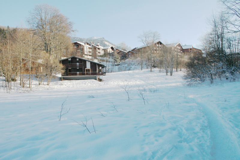 photo 10 Owner direct vacation rental Les Carroz d'Araches chalet Rhone-Alps Haute-Savoie Surroundings