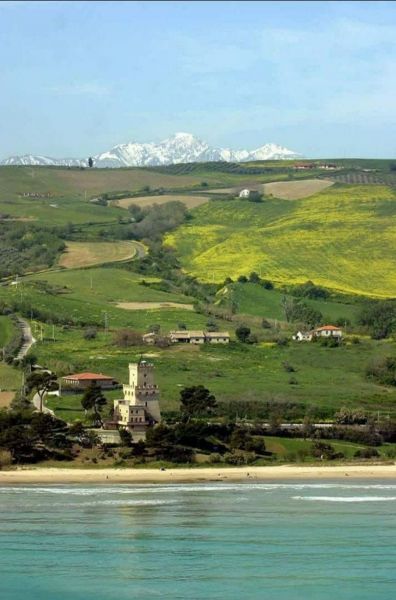 photo 22 Owner direct vacation rental Pineto appartement Abruzzo Teramo Province Other view