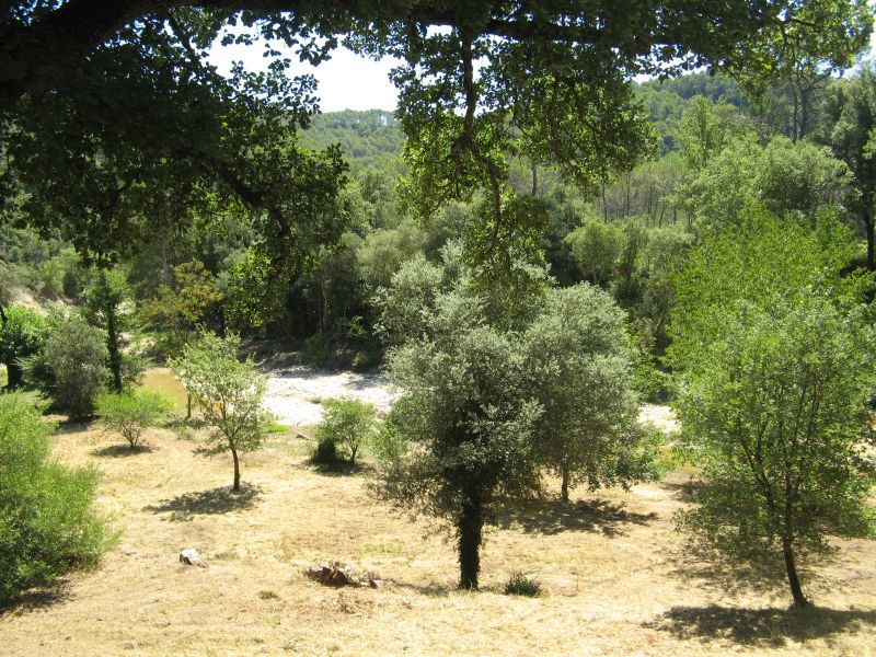 photo 17 Owner direct vacation rental Lorgues gite Provence-Alpes-Cte d'Azur Var View of the property from outside