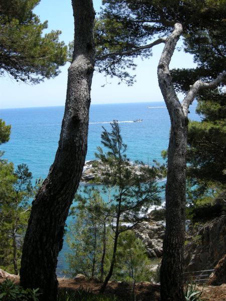 photo 2 Owner direct vacation rental Sant Antoni de Calonge appartement Catalonia Girona (province of) View from the terrace