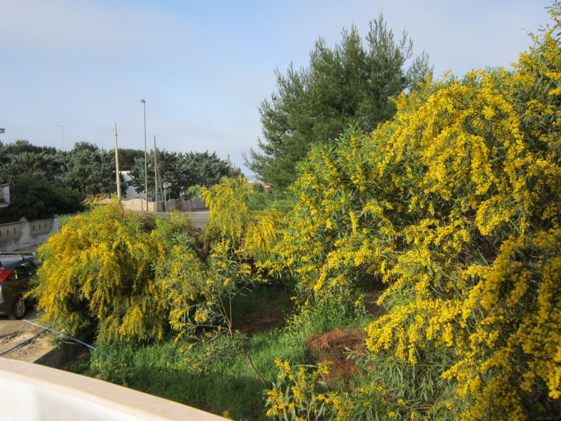 photo 3 Owner direct vacation rental Gallipoli appartement Puglia Lecce Province View of the property from outside