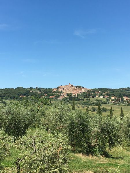 photo 6 Owner direct vacation rental Casale Marittimo appartement Tuscany  View from the property