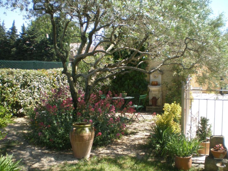 photo 4 Owner direct vacation rental Sainte-Ccile-les-Vignes gite Provence-Alpes-Cte d'Azur Vaucluse Surroundings