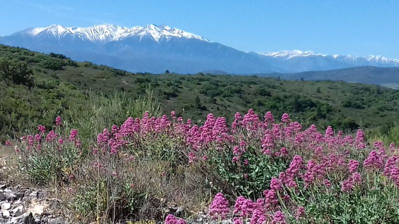 photo 14 Owner direct vacation rental Banyuls-sur-Mer appartement Languedoc-Roussillon Pyrnes-Orientales Other view