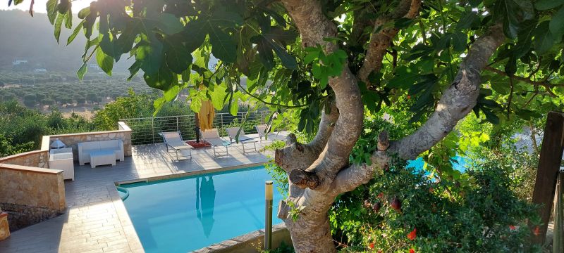 photo 9 Owner direct vacation rental Peschici bungalow Puglia Foggia Province Swimming pool