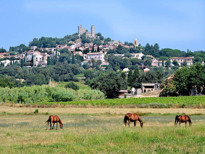 photo 23 Owner direct vacation rental Grimaud appartement Provence-Alpes-Cte d'Azur Var