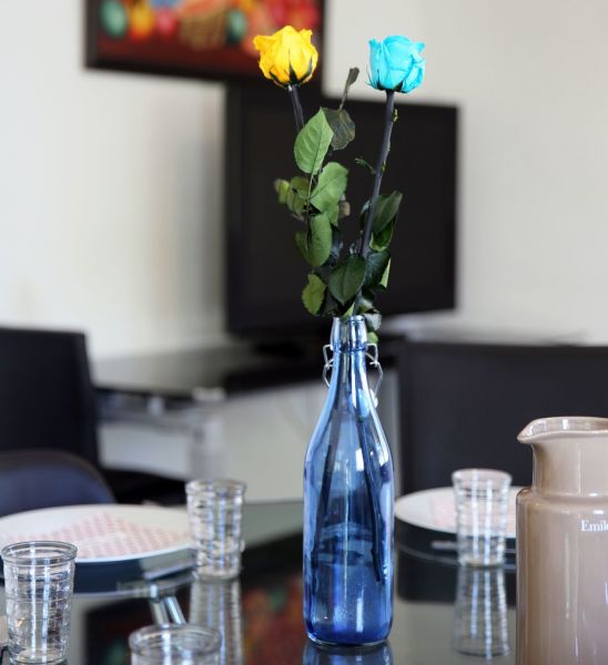 photo 11 Owner direct vacation rental Marseillan maison Languedoc-Roussillon Hrault Dining room