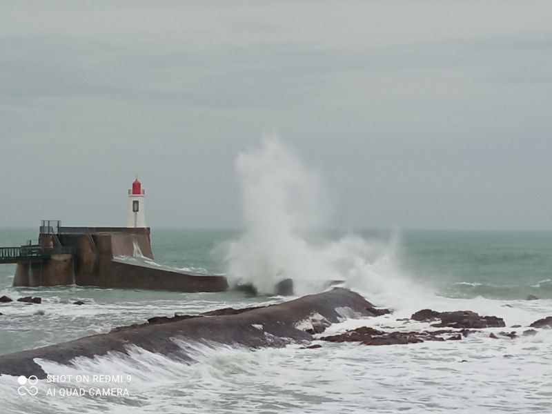 photo 22 Owner direct vacation rental Les  Sables d'Olonne appartement Pays de la Loire Vende