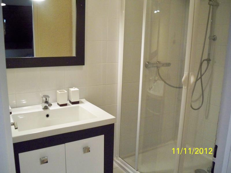 photo 3 Owner direct vacation rental Thollon Les Mmises appartement Rhone-Alps Haute-Savoie bathroom