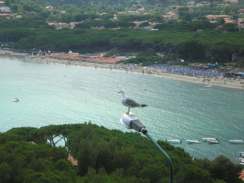 photo 1 Owner direct vacation rental Campo nell'Elba appartement Tuscany Elba Island View from the terrace