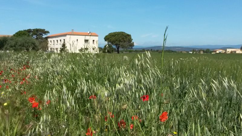 photo 1 Owner direct vacation rental Narbonne maison Languedoc-Roussillon Aude