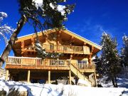 Font Romeu ski resort rentals: chalet # 116230