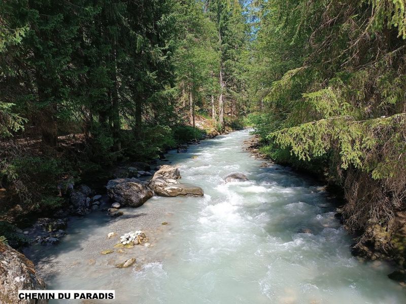 photo 17 Owner direct vacation rental Chamonix Mont-Blanc appartement Rhone-Alps Haute-Savoie Other view