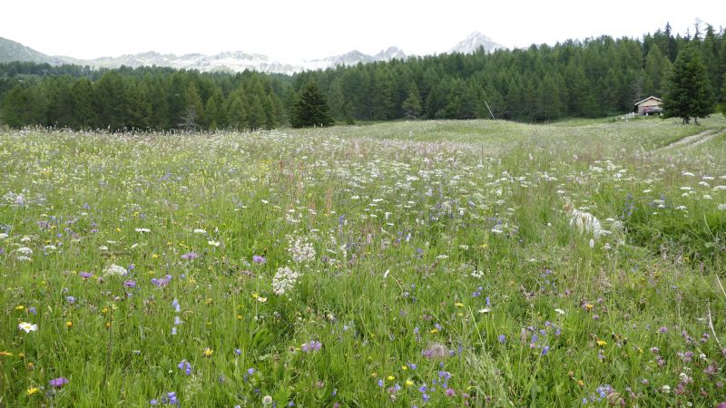 photo 10 Owner direct vacation rental Les Arcs studio Rhone-Alps Savoie Surroundings