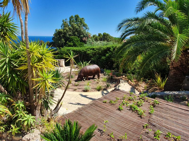 photo 6 Owner direct vacation rental Les Issambres villa Provence-Alpes-Cte d'Azur Var Garden