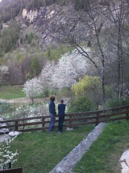 photo 16 Owner direct vacation rental Courmayeur appartement Aosta Valley Aosta Province Garden