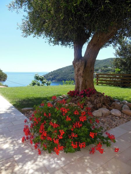 photo 20 Owner direct vacation rental Rio Marina maison Tuscany Elba Island Garden