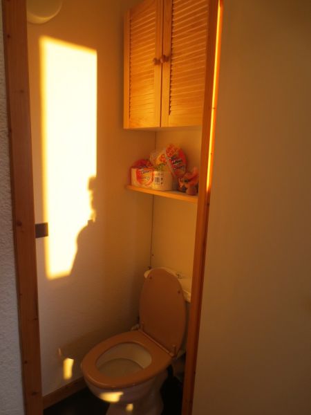 photo 24 Owner direct vacation rental La Plagne studio Rhone-Alps Savoie Bathroom w/toilet only