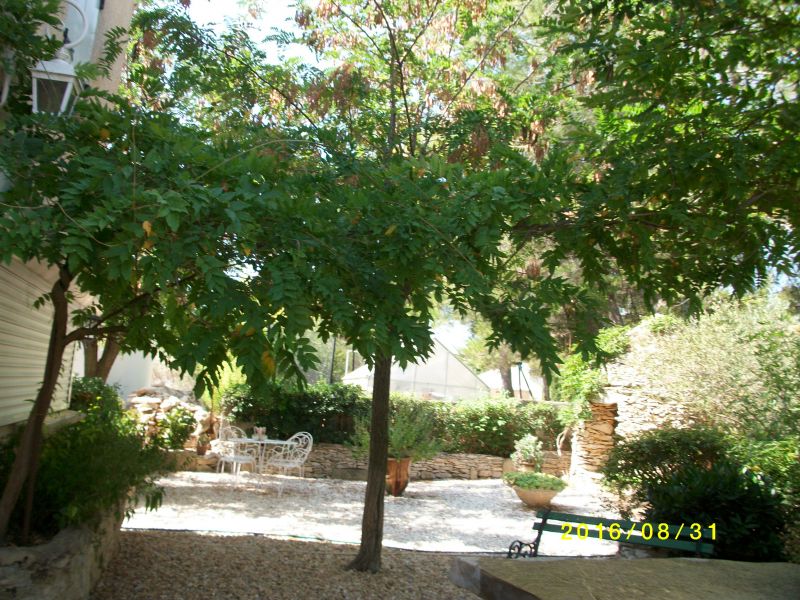 photo 20 Owner direct vacation rental Montpellier gite Languedoc-Roussillon Hrault Garden