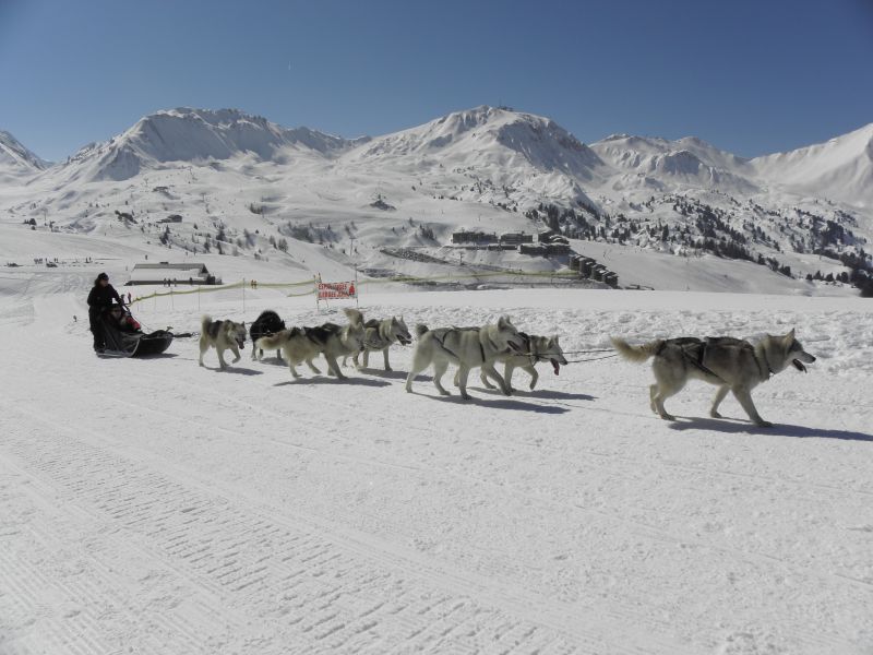 photo 24 Owner direct vacation rental La Plagne studio Rhone-Alps Savoie Surroundings