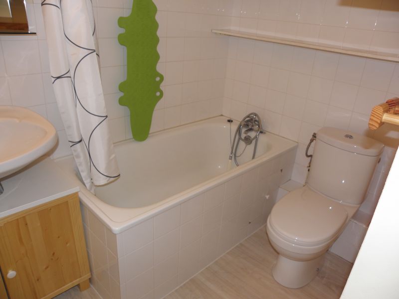 photo 6 Owner direct vacation rental La Plagne studio Rhone-Alps Savoie bathroom