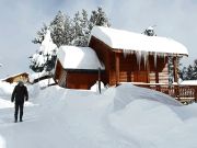 Saint Pierre - Dels - Forcats - Cambre vacation rentals for 7 people: chalet # 106862