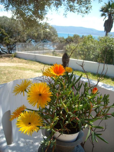 photo 24 Owner direct vacation rental Porto Pollo villa Corsica Corse du Sud View from the terrace