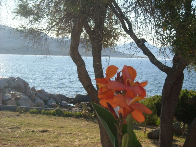 photo 28 Owner direct vacation rental Porto Pollo villa Corsica Corse du Sud View from the terrace