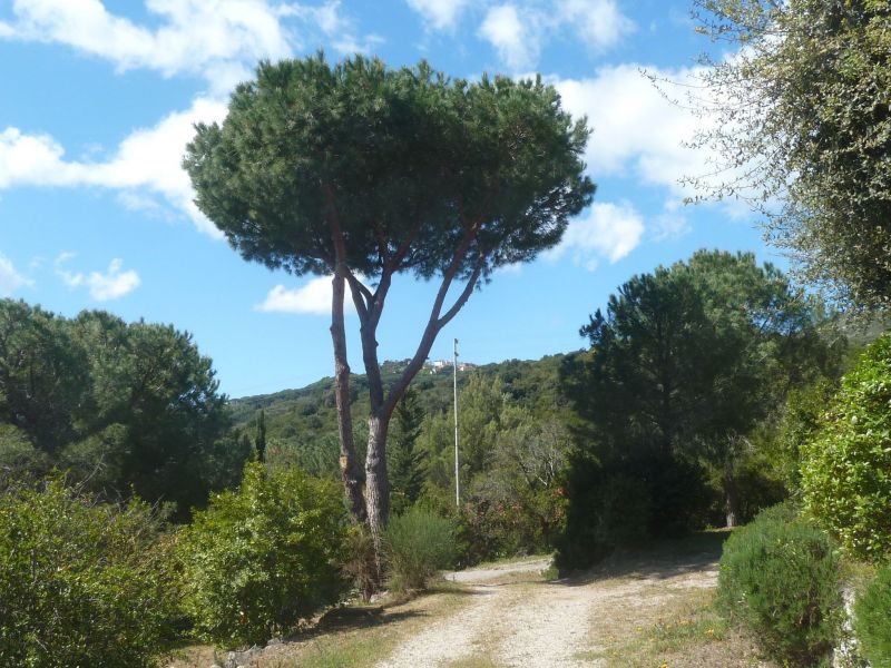 photo 15 Owner direct vacation rental Campo nell'Elba appartement Tuscany Elba Island Garden