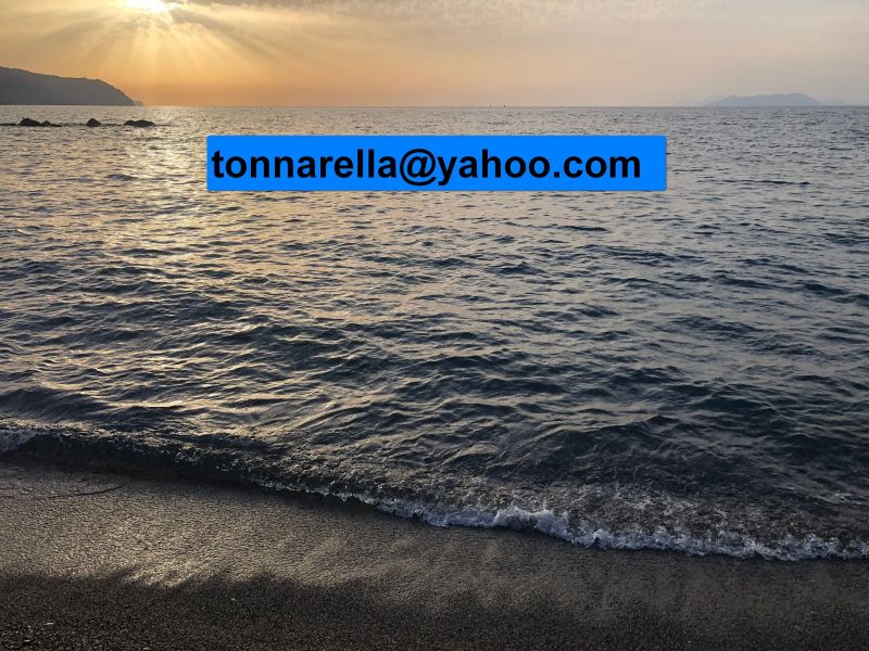 photo 13 Owner direct vacation rental Furnari appartement Sicily Messina Province Beach