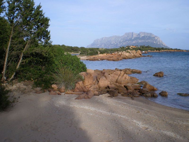 photo 17 Owner direct vacation rental  appartement Sardinia Olbia Tempio Province Beach