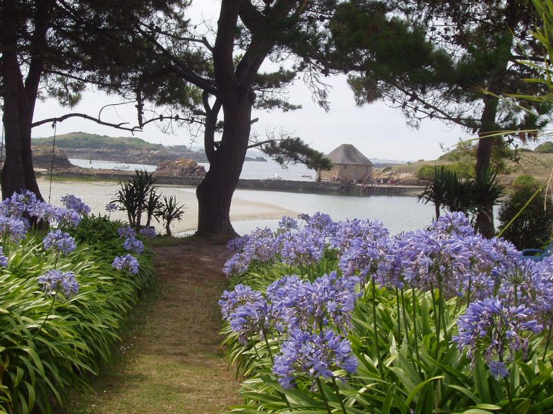 photo 12 Owner direct vacation rental Binic maison Brittany  Beach