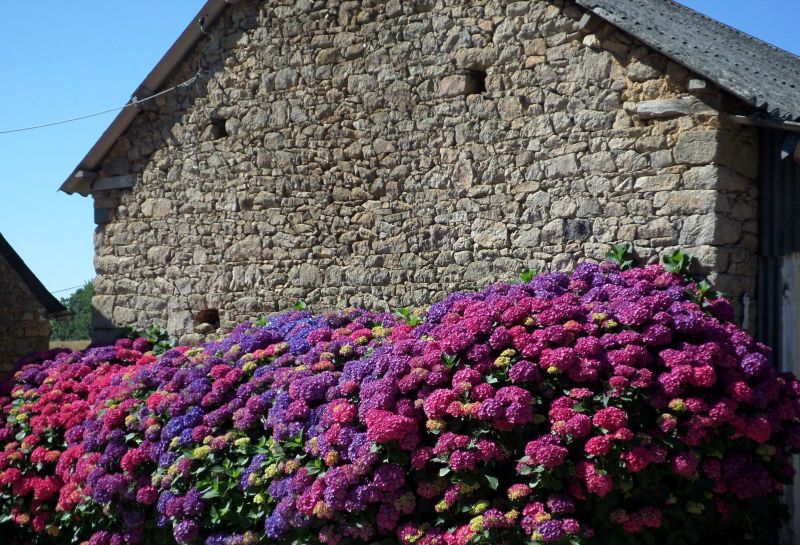 photo 16 Owner direct vacation rental Binic maison Brittany  Courtyard