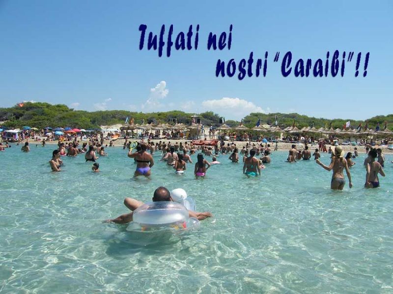 photo 13 Owner direct vacation rental Gallipoli appartement Puglia Lecce Province