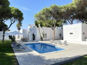 Algarve vacation rentals for 12 people: villa # 128254