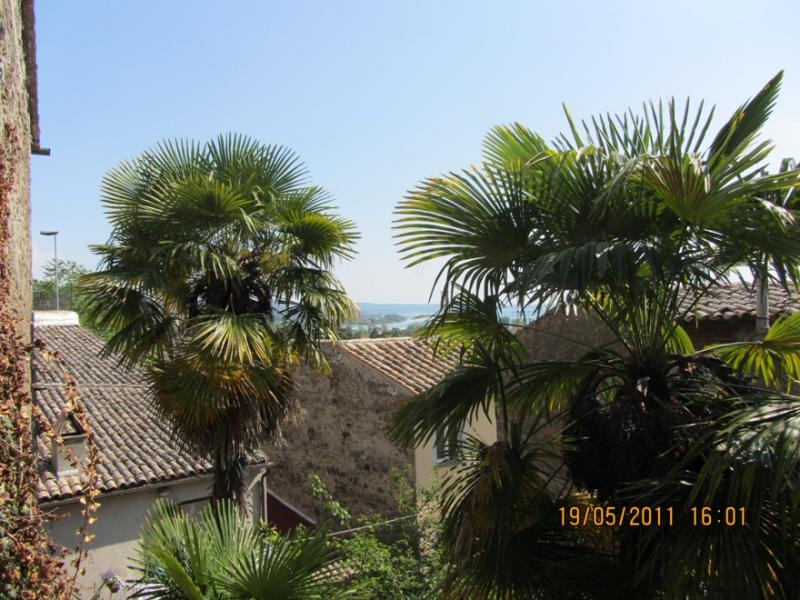 photo 9 Owner direct vacation rental Bolsena appartement Lazio Viterbo Province Balcony