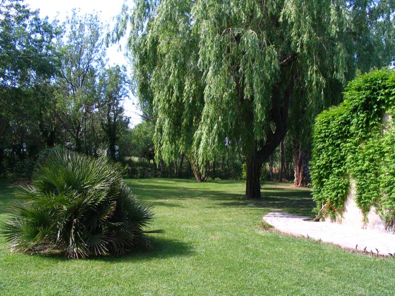 photo 18 Owner direct vacation rental Hyres villa Provence-Alpes-Cte d'Azur Var Garden