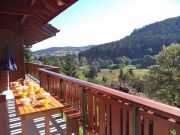 Vosges Mountains vacation rentals for 5 people: chalet # 77741