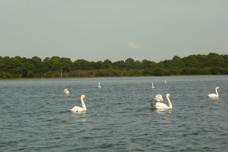 photo 19 Owner direct vacation rental Arcachon appartement Aquitaine Gironde View of the property from outside