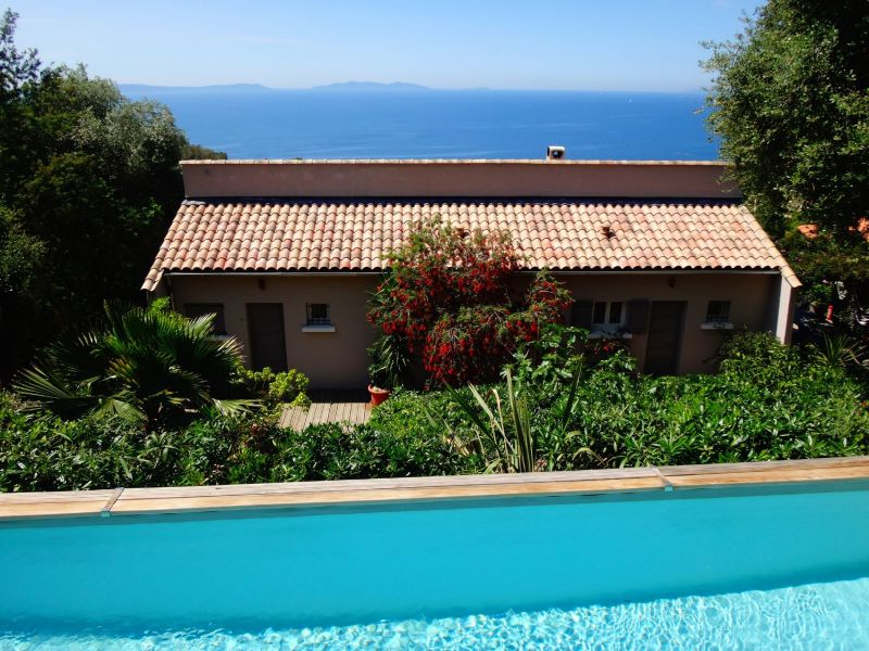 photo 11 Owner direct vacation rental Rayol Canadel sur Mer appartement Provence-Alpes-Cte d'Azur Var Swimming pool