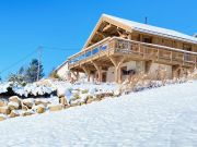 Vosges Mountains vacation rentals for 6 people: chalet # 120066