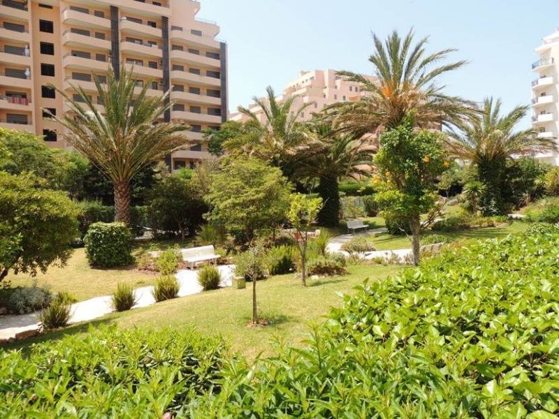 photo 2 Owner direct vacation rental Portimo appartement Algarve  Garden
