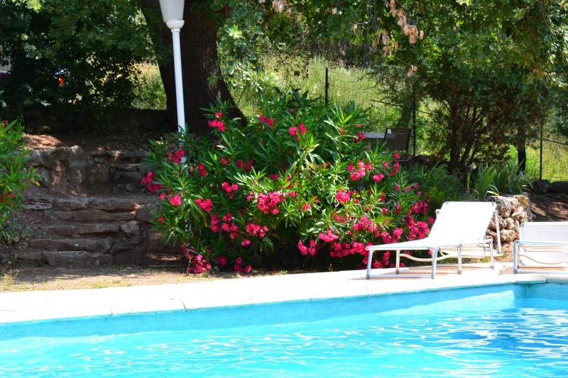 photo 10 Owner direct vacation rental Frjus appartement Provence-Alpes-Cte d'Azur Var Swimming pool