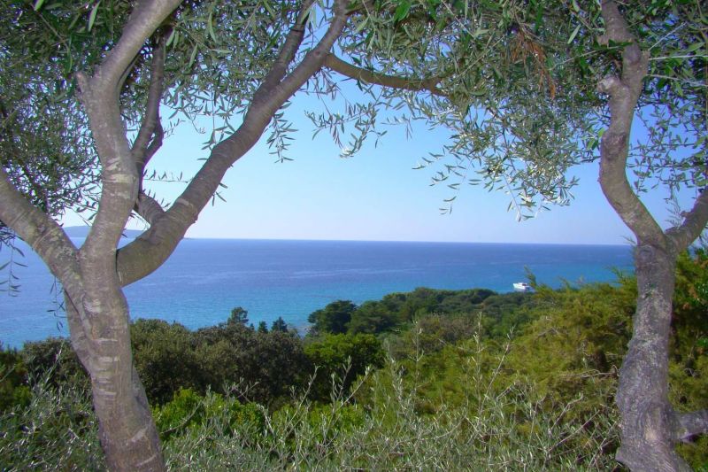 photo 5 Owner direct vacation rental Propriano villa Corsica Corse du Sud View from the terrace