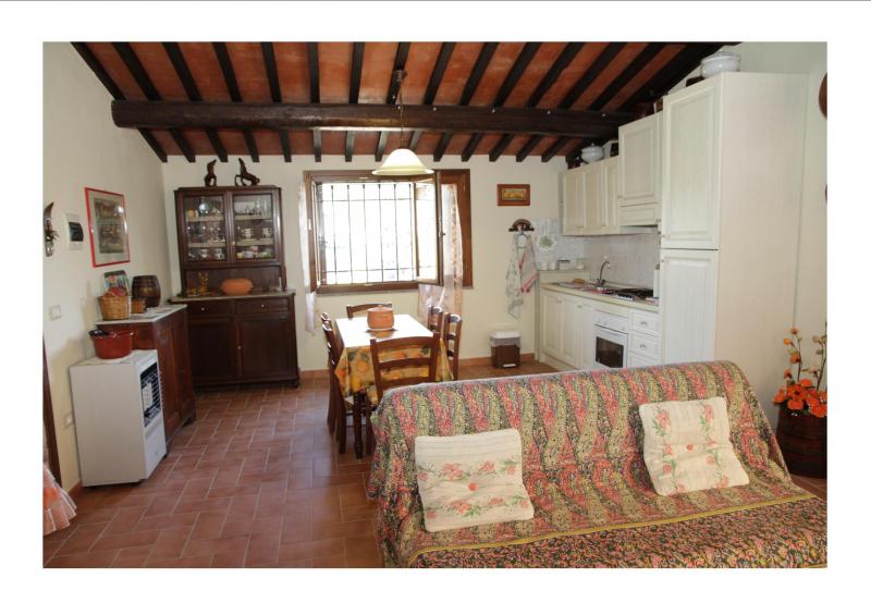 photo 3 Owner direct vacation rental Castagneto Carducci appartement Tuscany Livorno Province