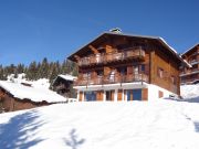 mountain and ski rentals: appartement # 91423