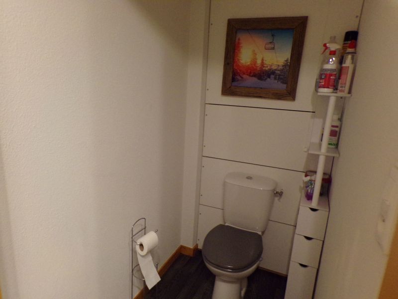 photo 29 Owner direct vacation rental Thollon Les Mmises appartement Rhone-Alps Haute-Savoie Bathroom w/toilet only